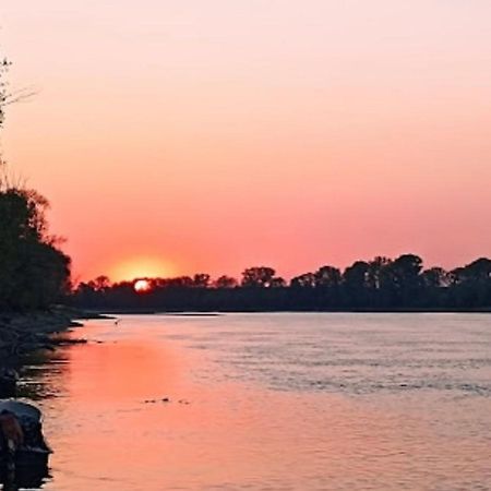 Residenza Il Capitano Bed & Breakfast San Benedetto Po Bagian luar foto